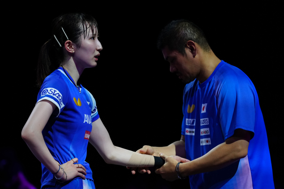 mEsdl, img mEsdl, img