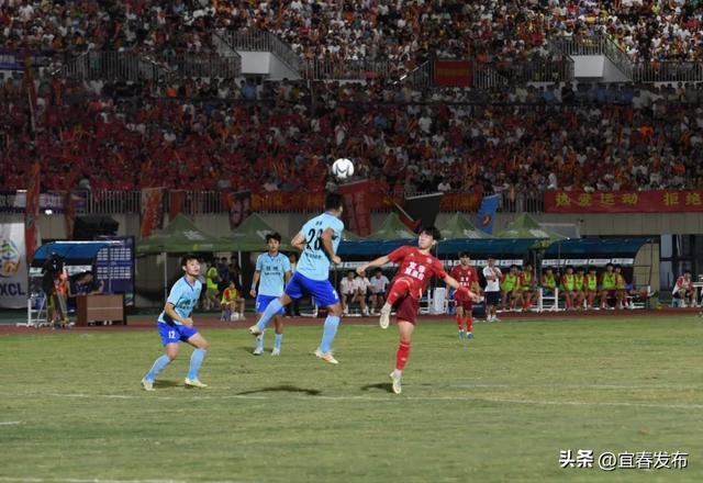 一哥, msn 一哥, msn